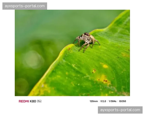 超微型特写模组在演进阶段实现量产 这种视角带给观众极具冲击力的特写瞬时感